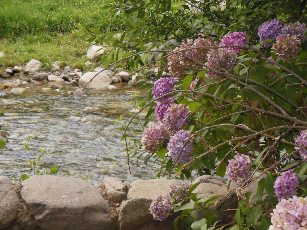 Au Bord De L'Eau 호텔 세티 파트마 외부 사진